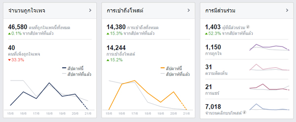 วิเคราะห์ตัวเลขกลุ่มลูกค้าเป้าหมายด้วย Google Analytics / Visitor / Goal / ROI