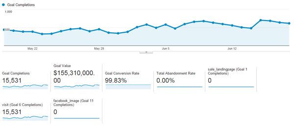 วิเคราะห์ตัวเลขกลุ่มลูกค้าเป้าหมายด้วย Google Analytics / Visitor / Goal / ROI